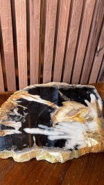 Versteend hout - Afbeelding 2