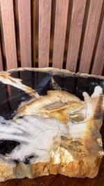 Versteend hout - Afbeelding 6