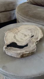 Versteend hout schijf/dienblad met mooie ruwe rand s - Afbeelding 3