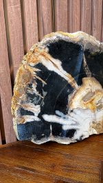 Versteend hout - Afbeelding 5