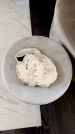 Versteend hout schijf/dienblad met mooie ruwe rand s - Afbeelding 2