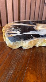 Versteend hout - Afbeelding 3