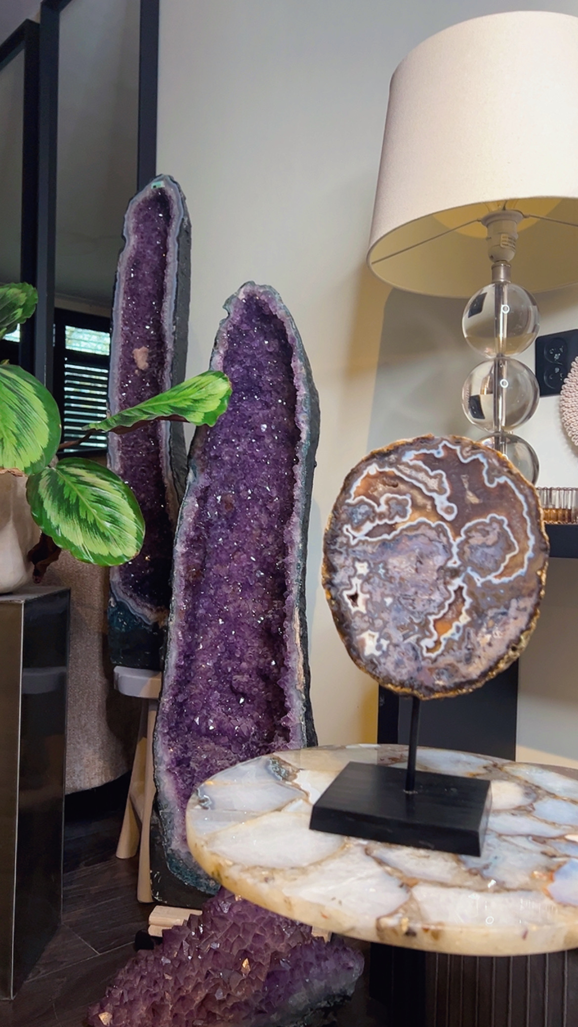 {"eId":"454476473376580","CameraPosition":1}