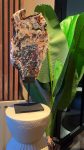 Statement piece agate on stand