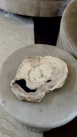 Versteend hout schijf/dienblad met mooie ruwe rand s - Afbeelding 4