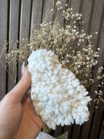 Fossiel Chalcedoon - Afbeelding 2