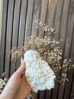 Fossiel Chalcedoon - Afbeelding 6