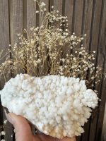 Fossiel Chalcedoon - Afbeelding 4