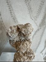 Woestijn roos - Afbeelding 4