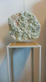 Apofyliet met Strilbiet