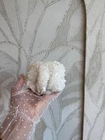 Star Calcite - Afbeelding 5