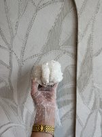 Star Calcite - Afbeelding 2