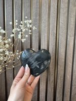 Versteend hout op hart - Afbeelding 4