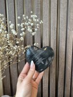 Versteend hout op hart