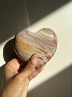 Versteend hout hart bruin/rood - Afbeelding 3
