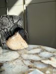 Versteend hout hart black/brown 3.4