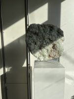 Apofyliet met Strilbiet