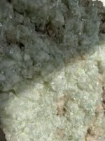 Apofyliet met Strilbiet - Afbeelding 3