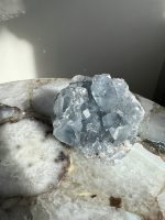 Celestien - Afbeelding 2