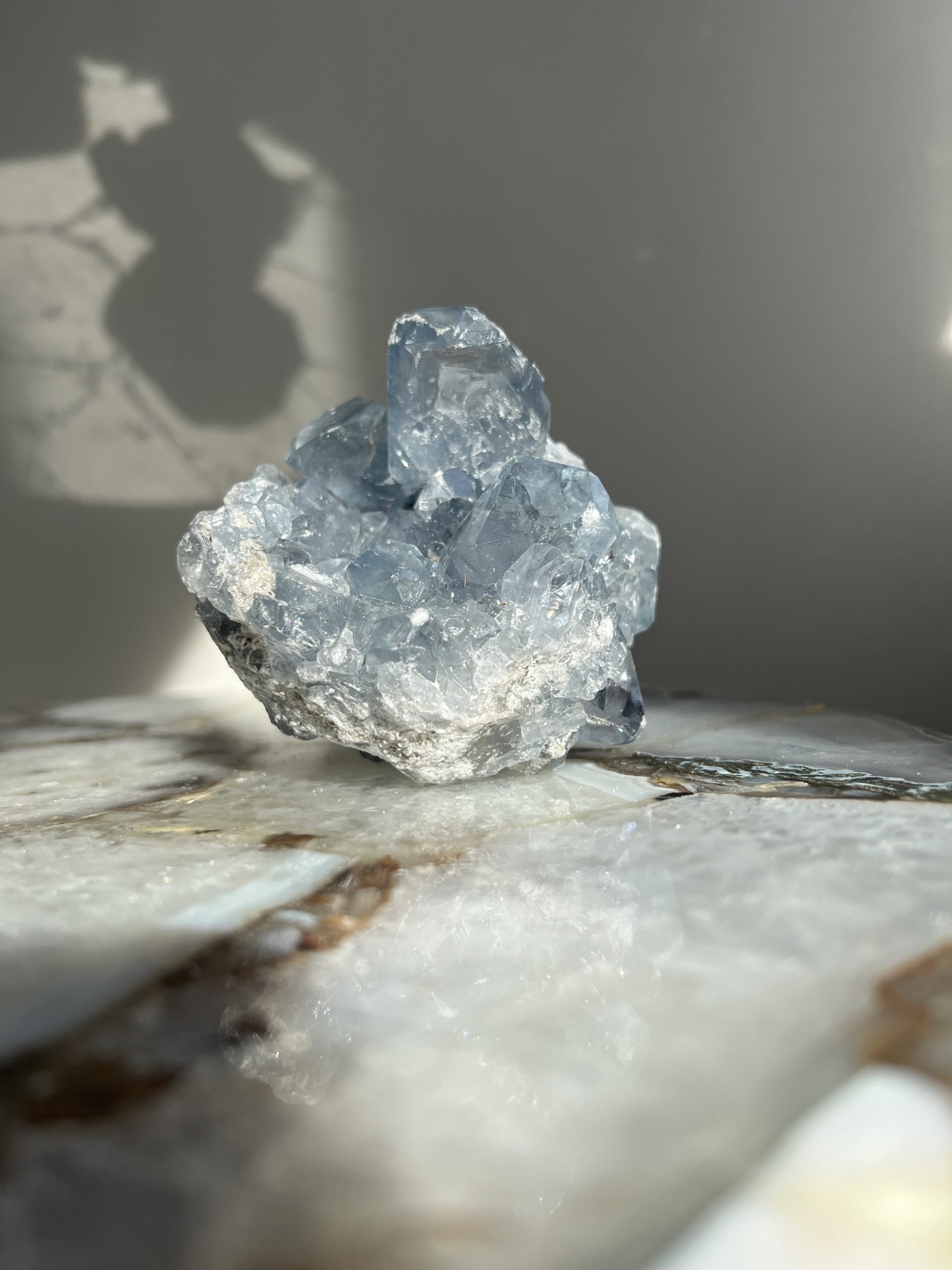 IMG_9302 Celestien - Afbeelding 1