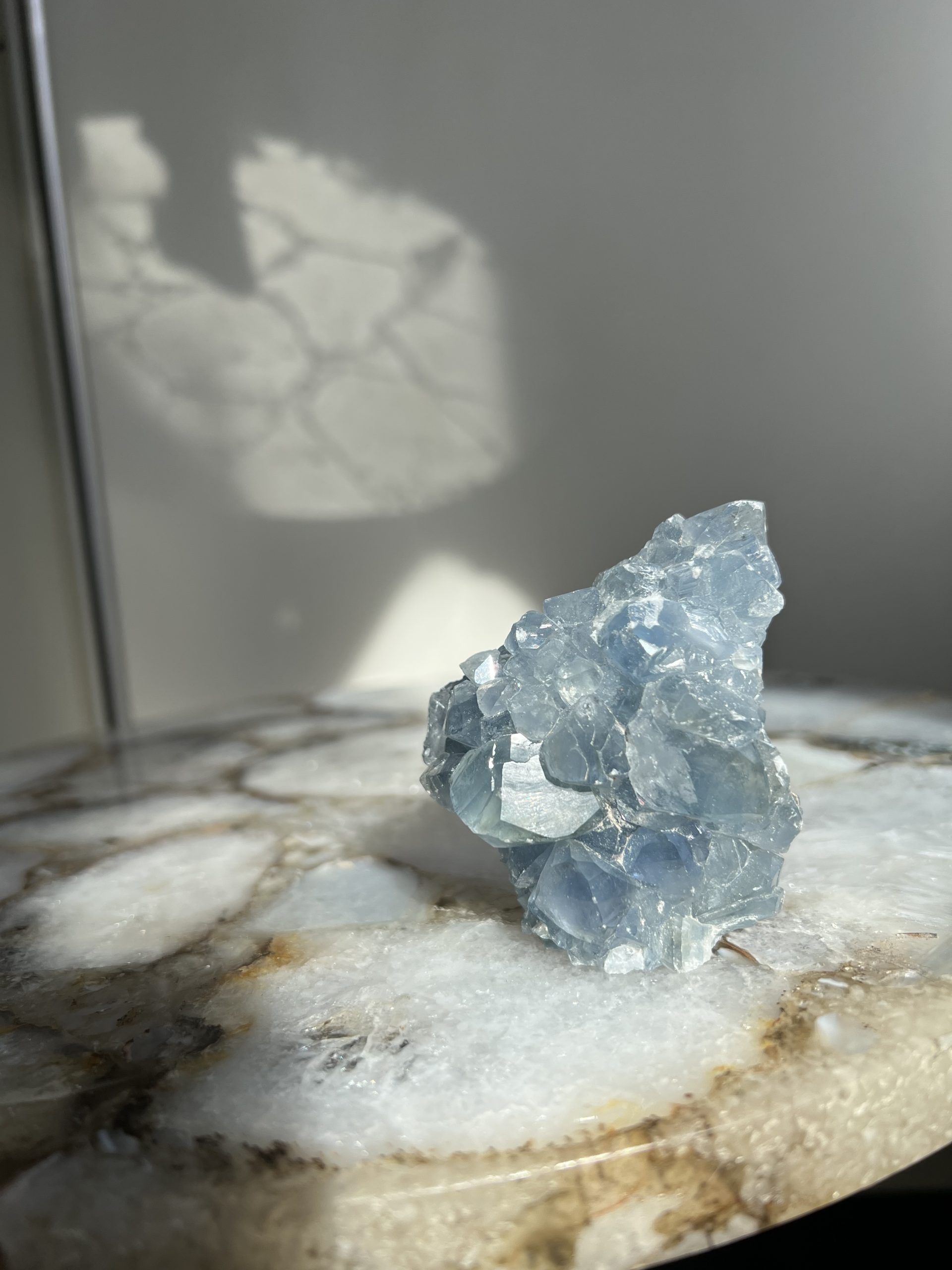 IMG_9307 Celestien 2.2 - Afbeelding 1