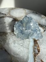 Celestien 2.2 - Afbeelding 3